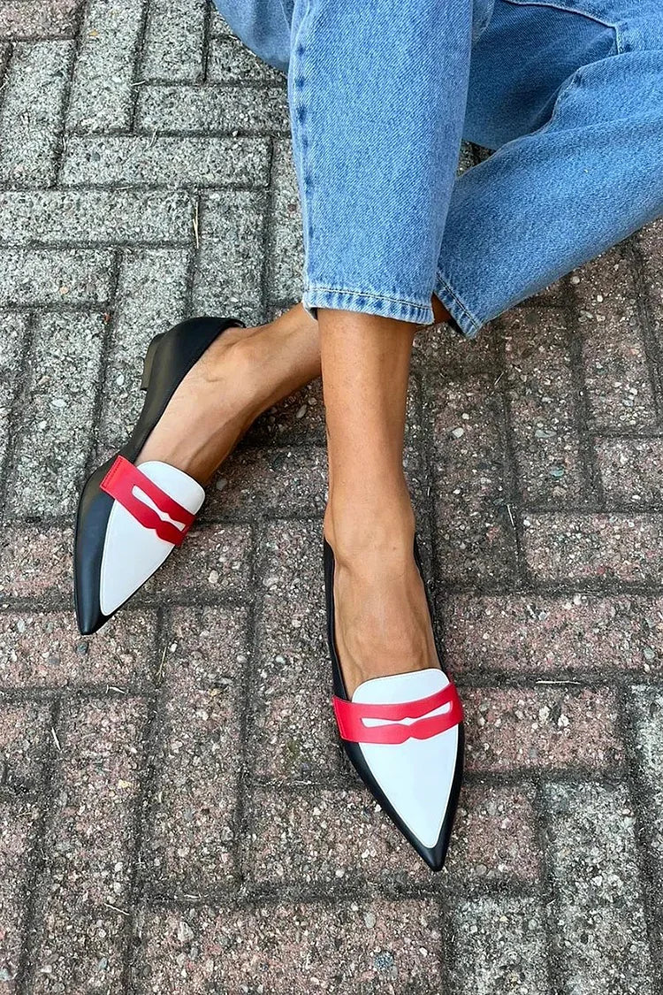 Women's Stylish Two-Tone Pointed Slippers