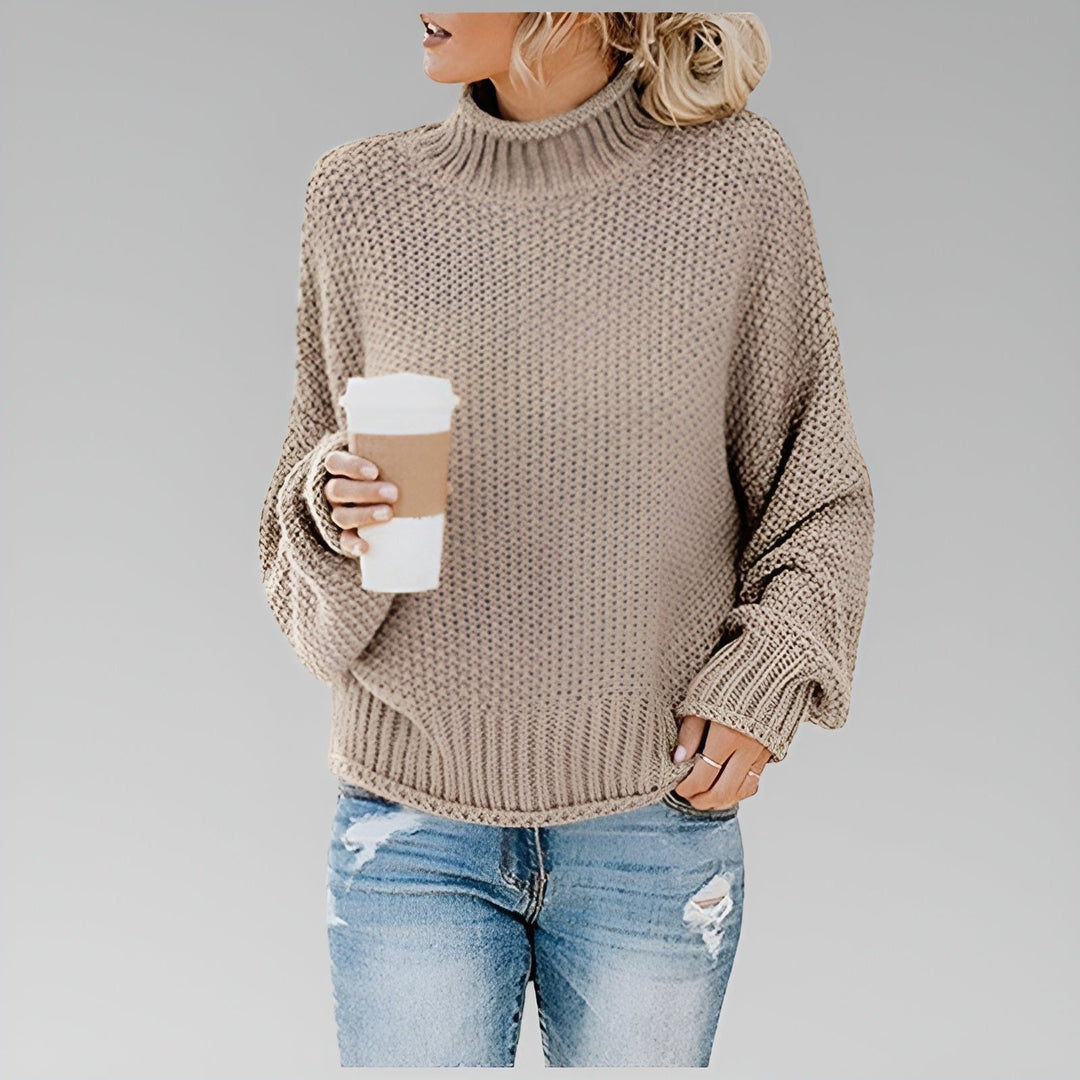 Women's Chunky Knit Roll Neck Wool Sweater